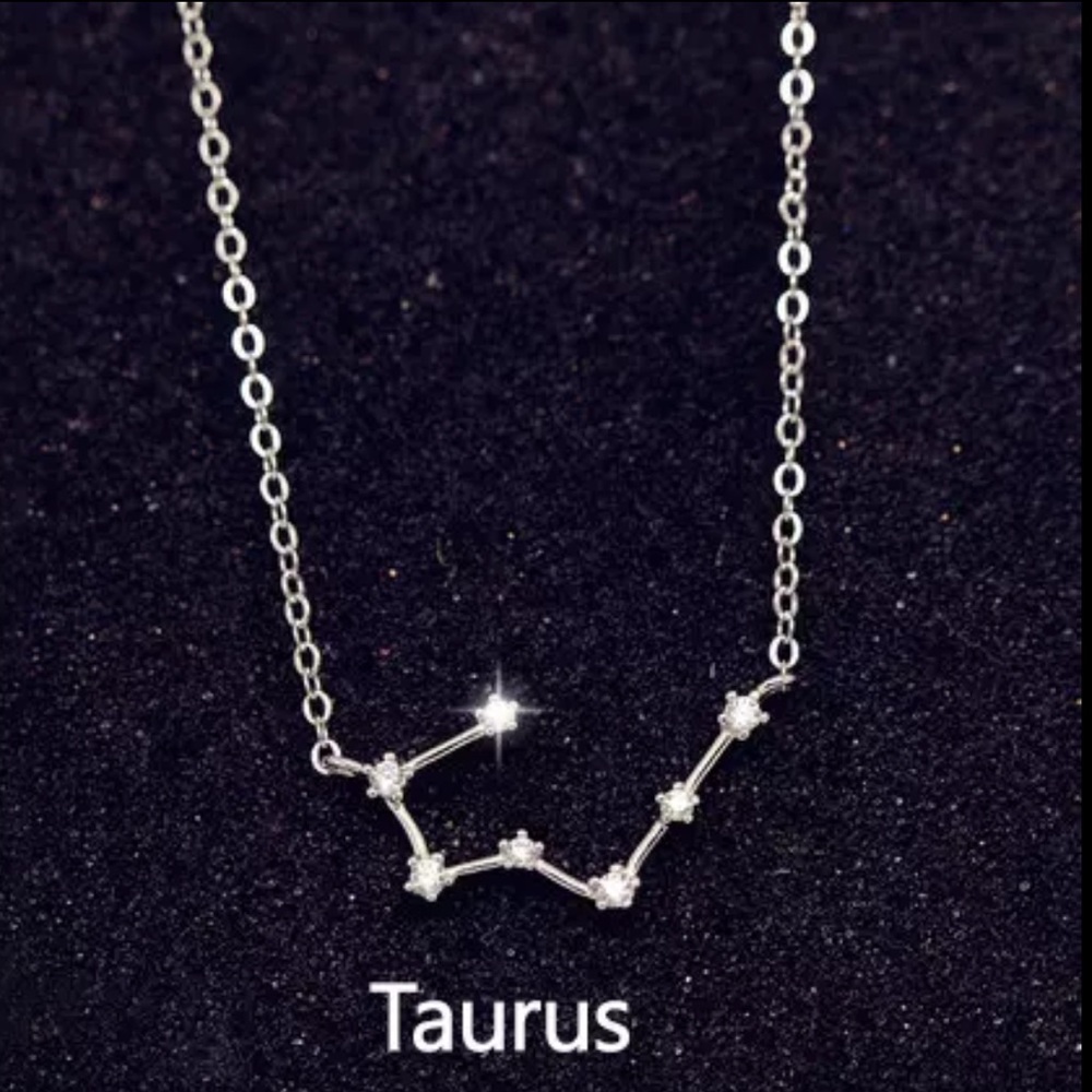 925 Sterling Silver CZ Taurus Necklace